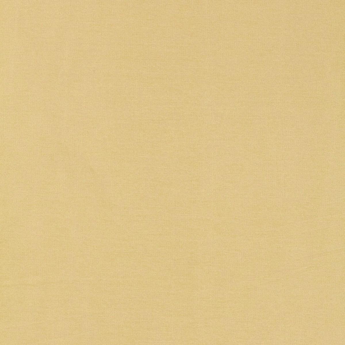 TIEPOLO SHANTUNG WEAVE CHAMPAGNE