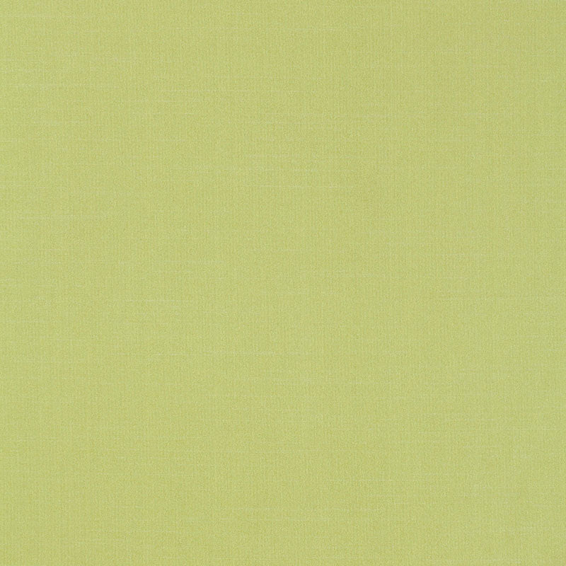 TIEPOLO SHANTUNG WEAVE LIMEADE