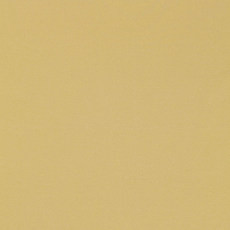 MASACCIO TAFFETA JONQUIL