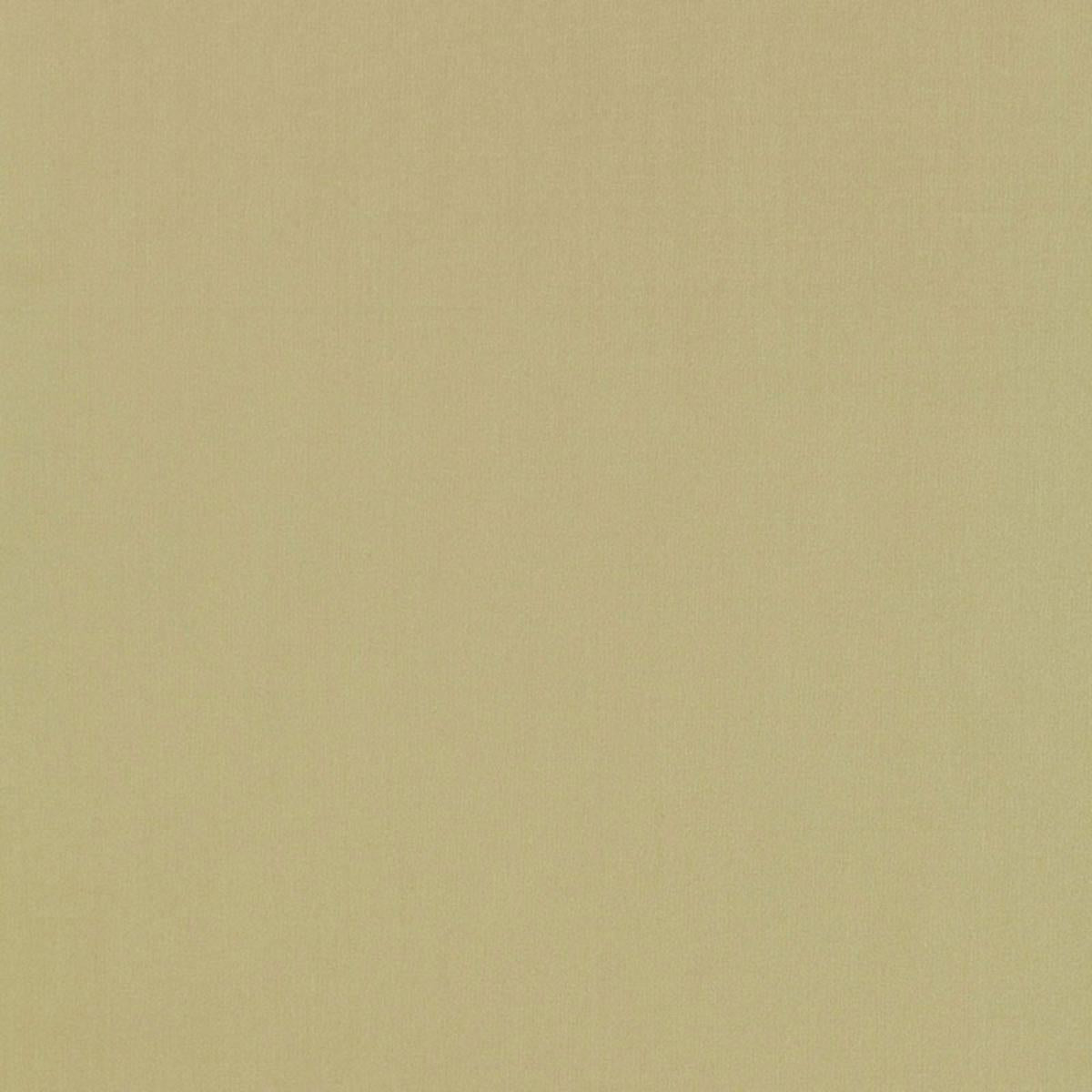 GIORDANO TAFFETA CELERY
