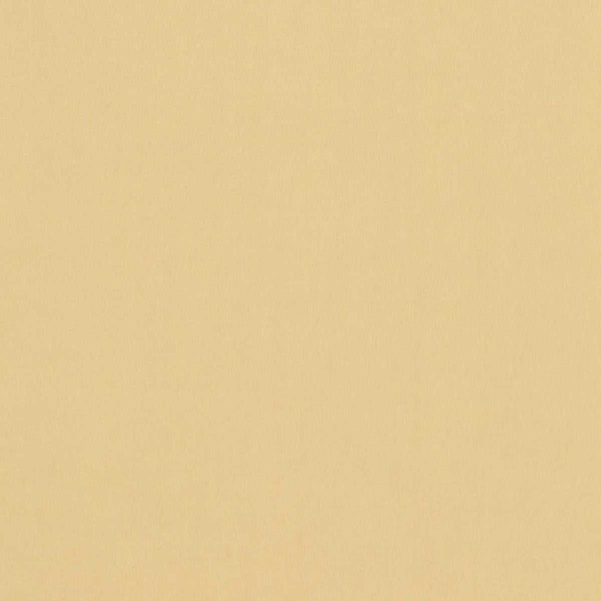 TRISTAN COTTON WEAVE CHAMOIS