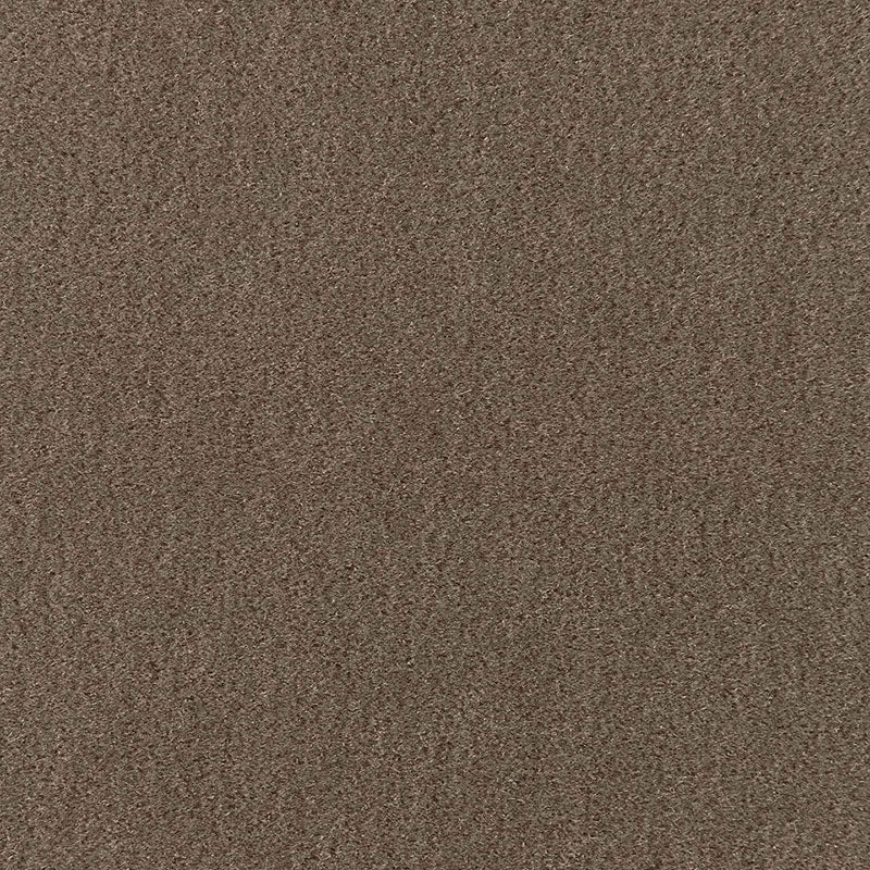 SAN CARLO MOHAIR VELVET TAUPE