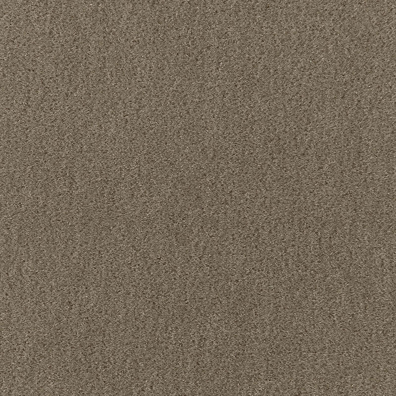 PALERMO MOHAIR VELVET THYME