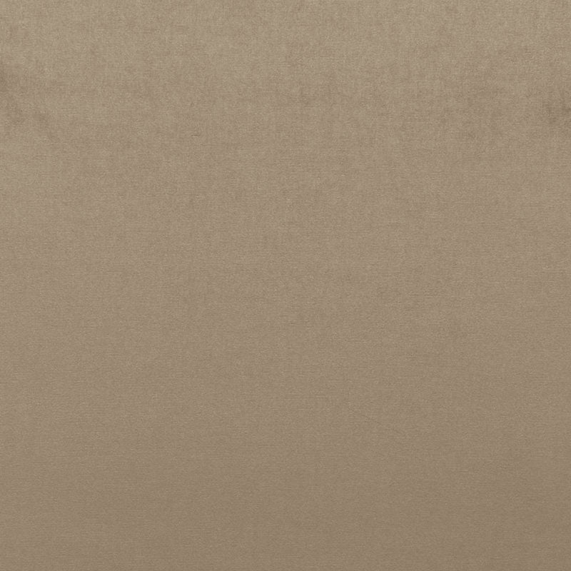 SOPHIA VELVET MUSHROOM