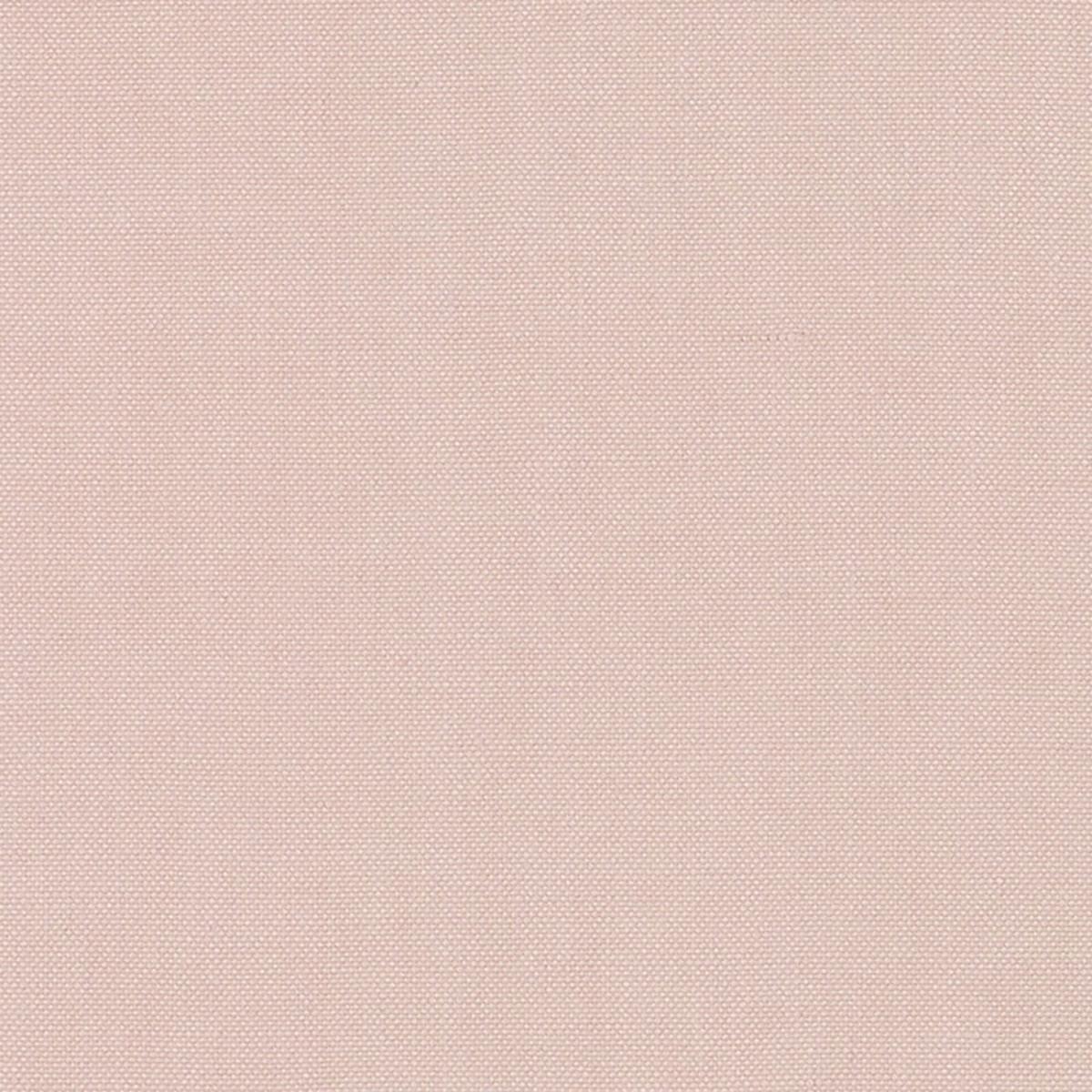 BARNETT BLUSH