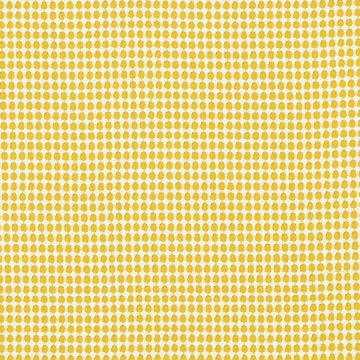 ZIPSTER YELLOW