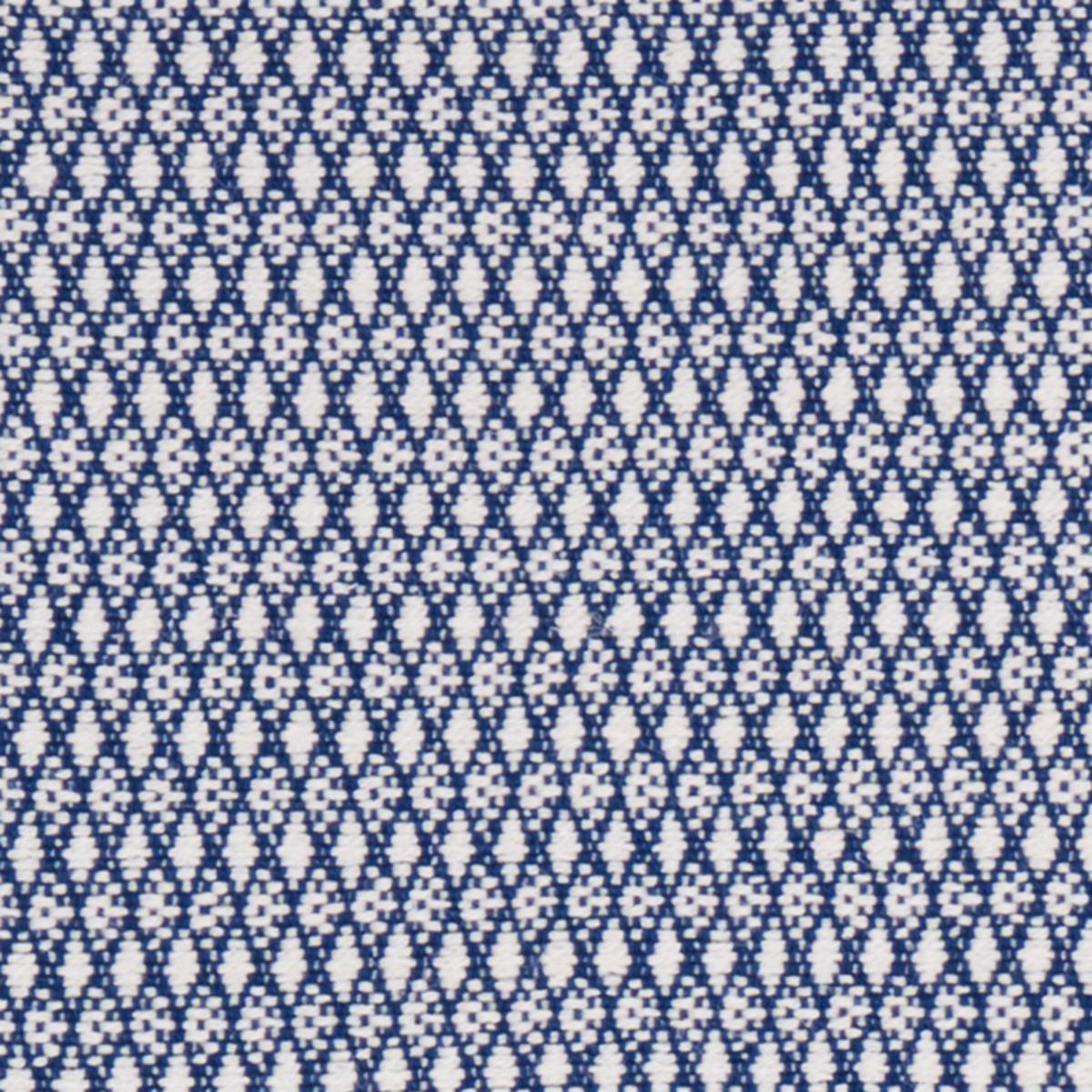 ZOILA BLUE