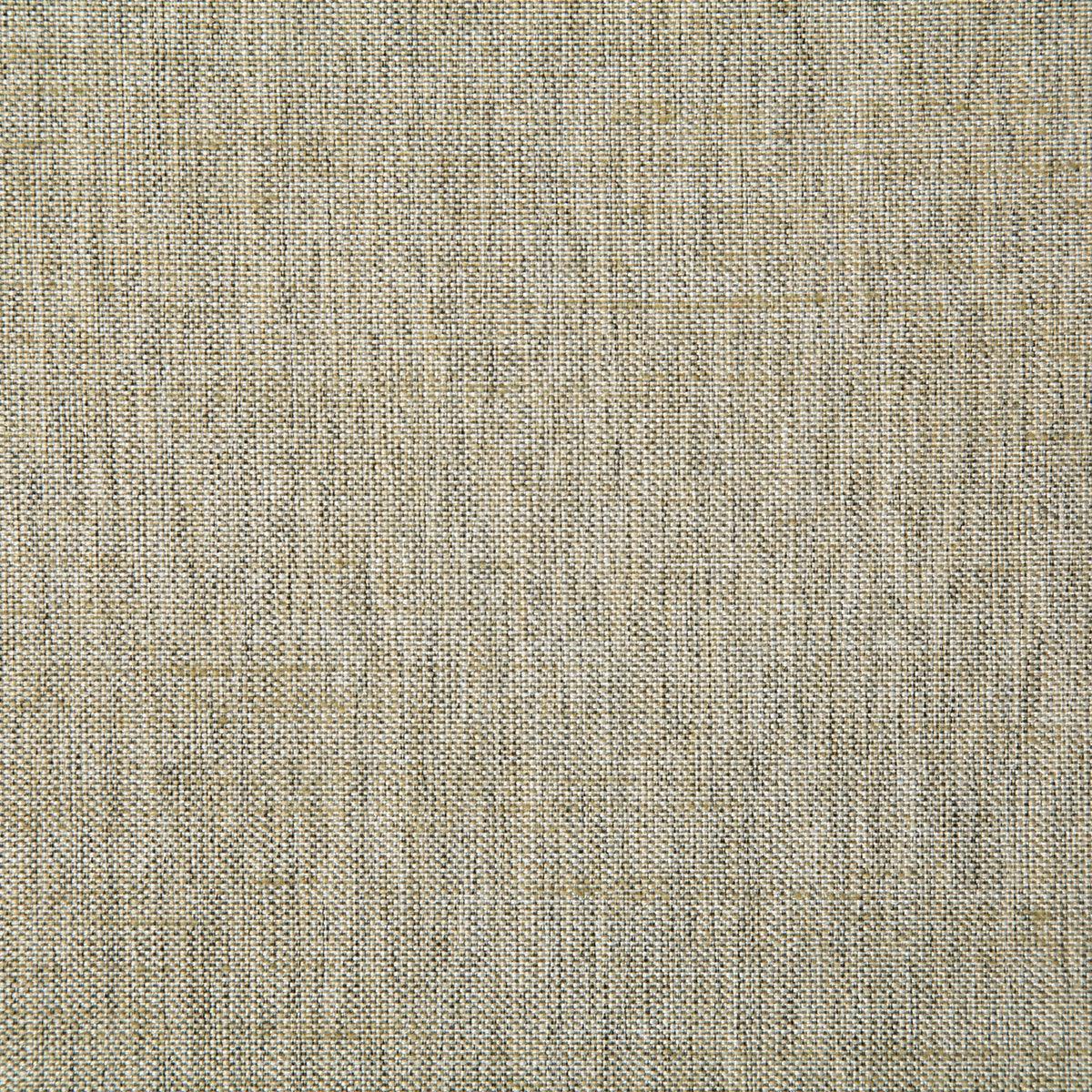 Pindler 7232 BECK-BIRCH Fabric | Atlanta Fabrics