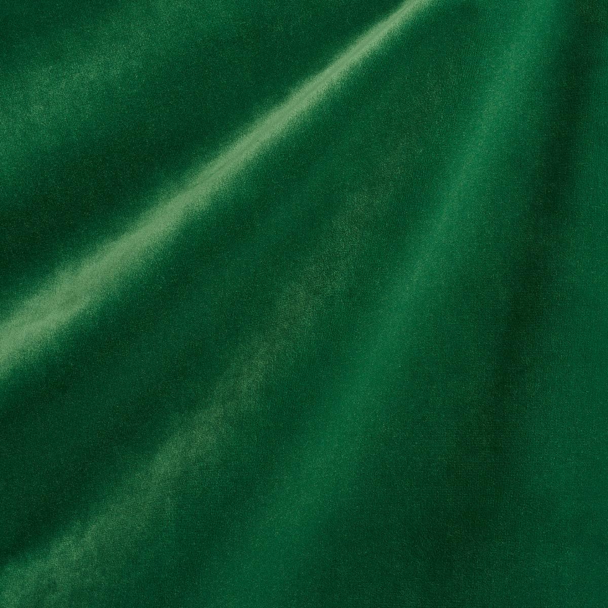 ALISTAIR INDOOR/OUTDOOR VELVET VERDANT