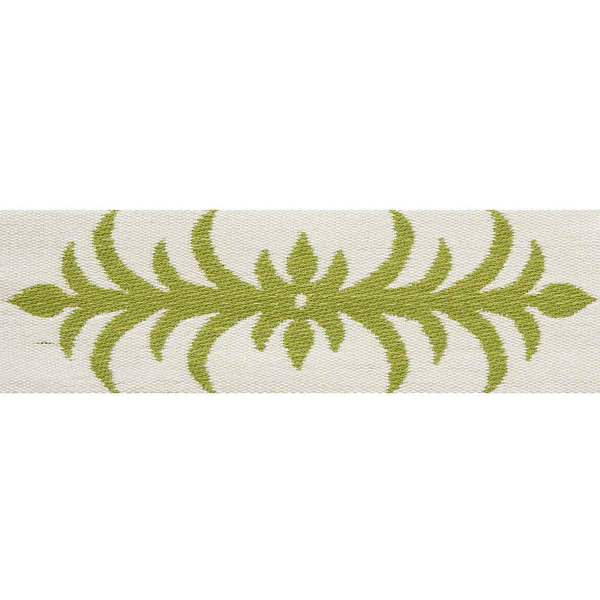 ACANTHUS TAPE MOSS