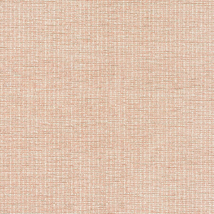 7804-21 BEGINNINGS DESERT