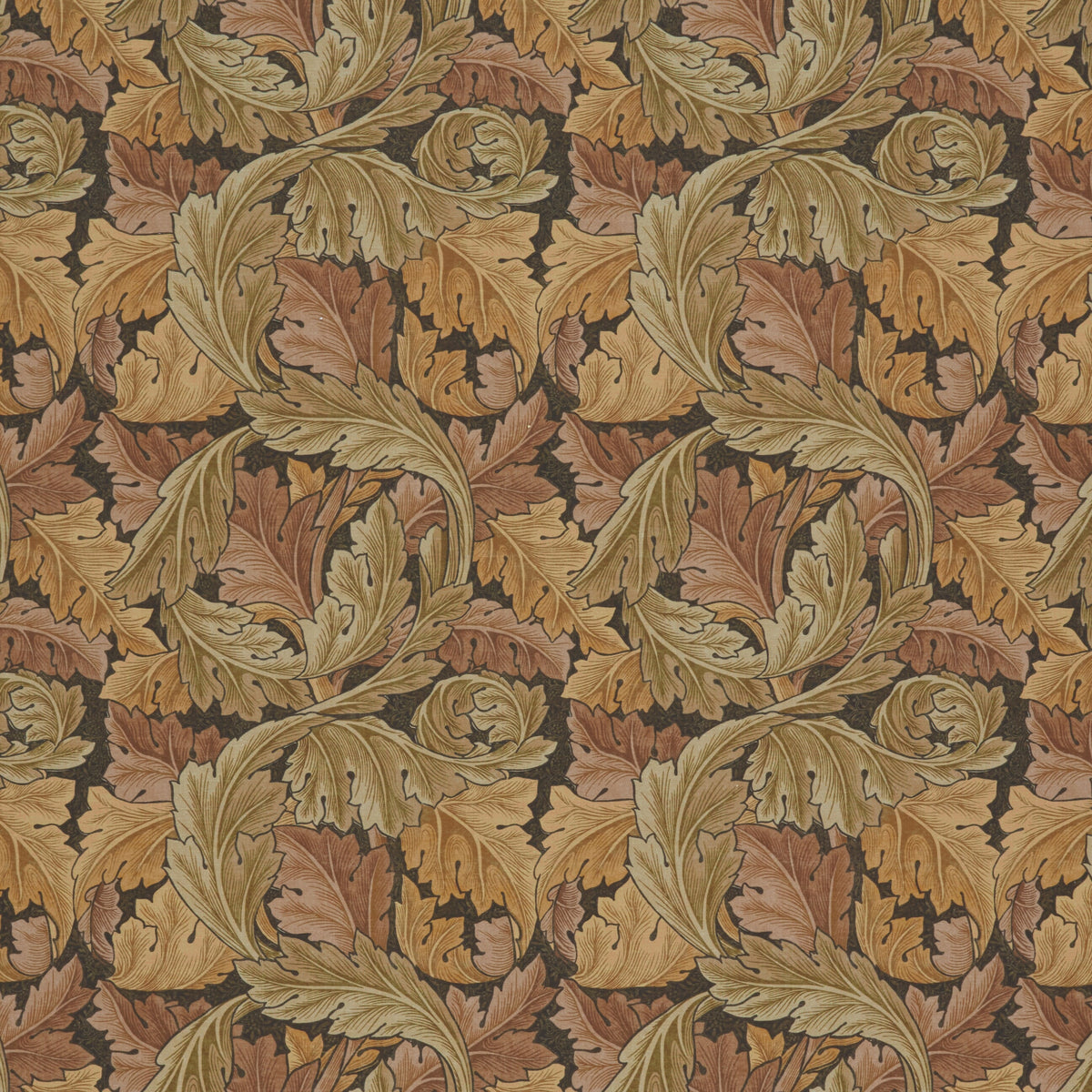 7859 ACANTHUS 1 HENNA