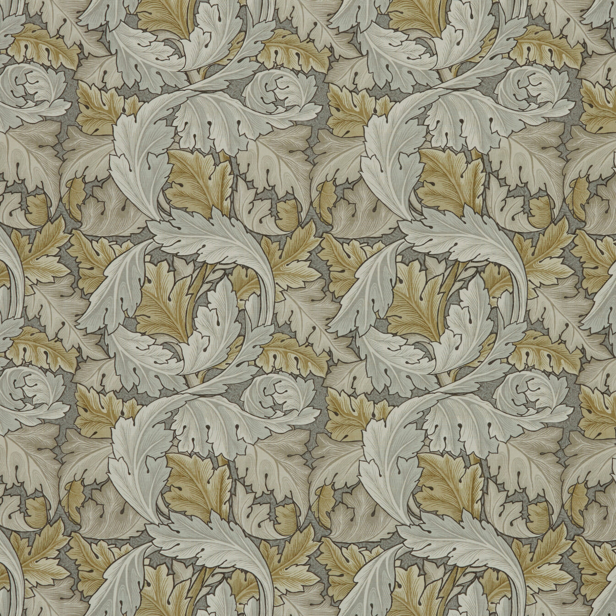7859 ACANTHUS 2 DUSK