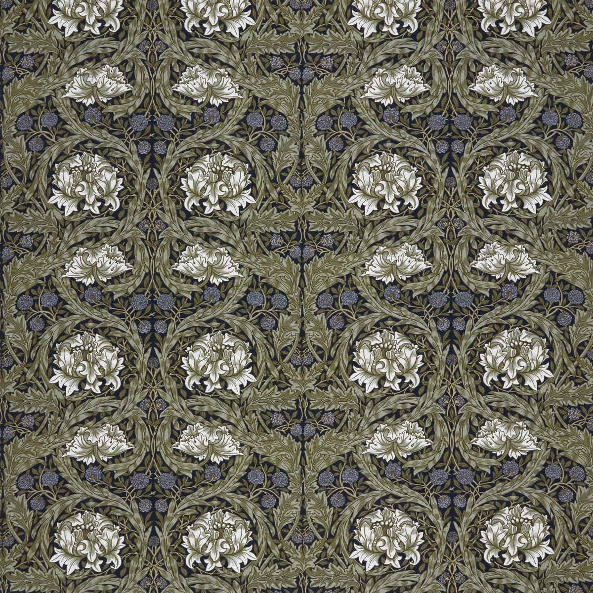 7860 AFRICAN MARIGOLD 1 NAVY