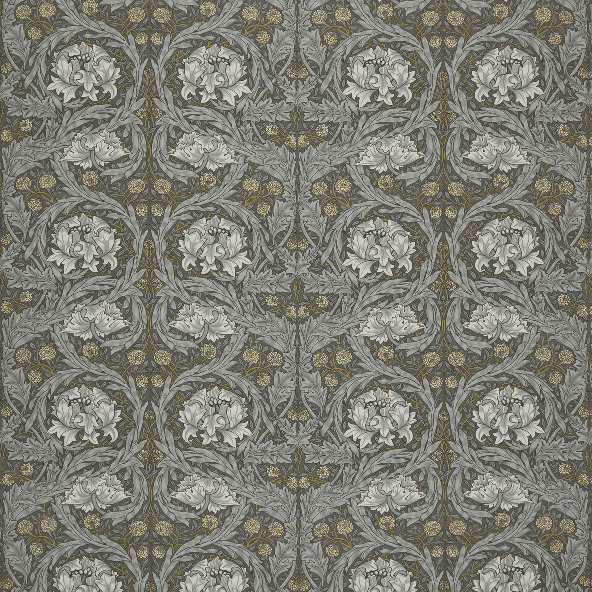 7860 AFRICAN MARIGOLD 2 SLATE