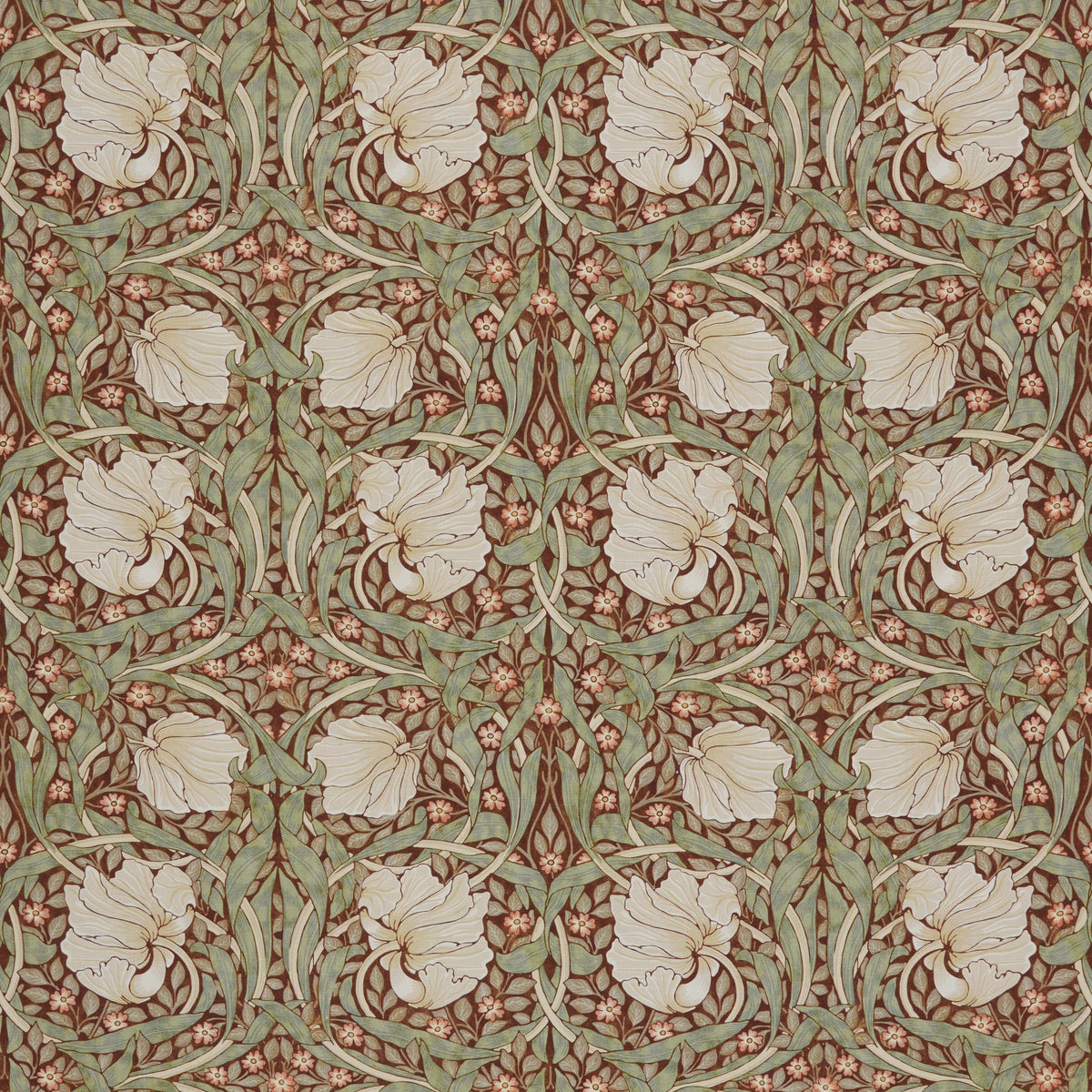 7865 PIMPERNEL 1 WINE