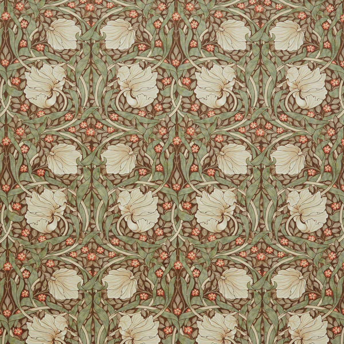 7871 PIMPERNEL VELVET 1 WINE