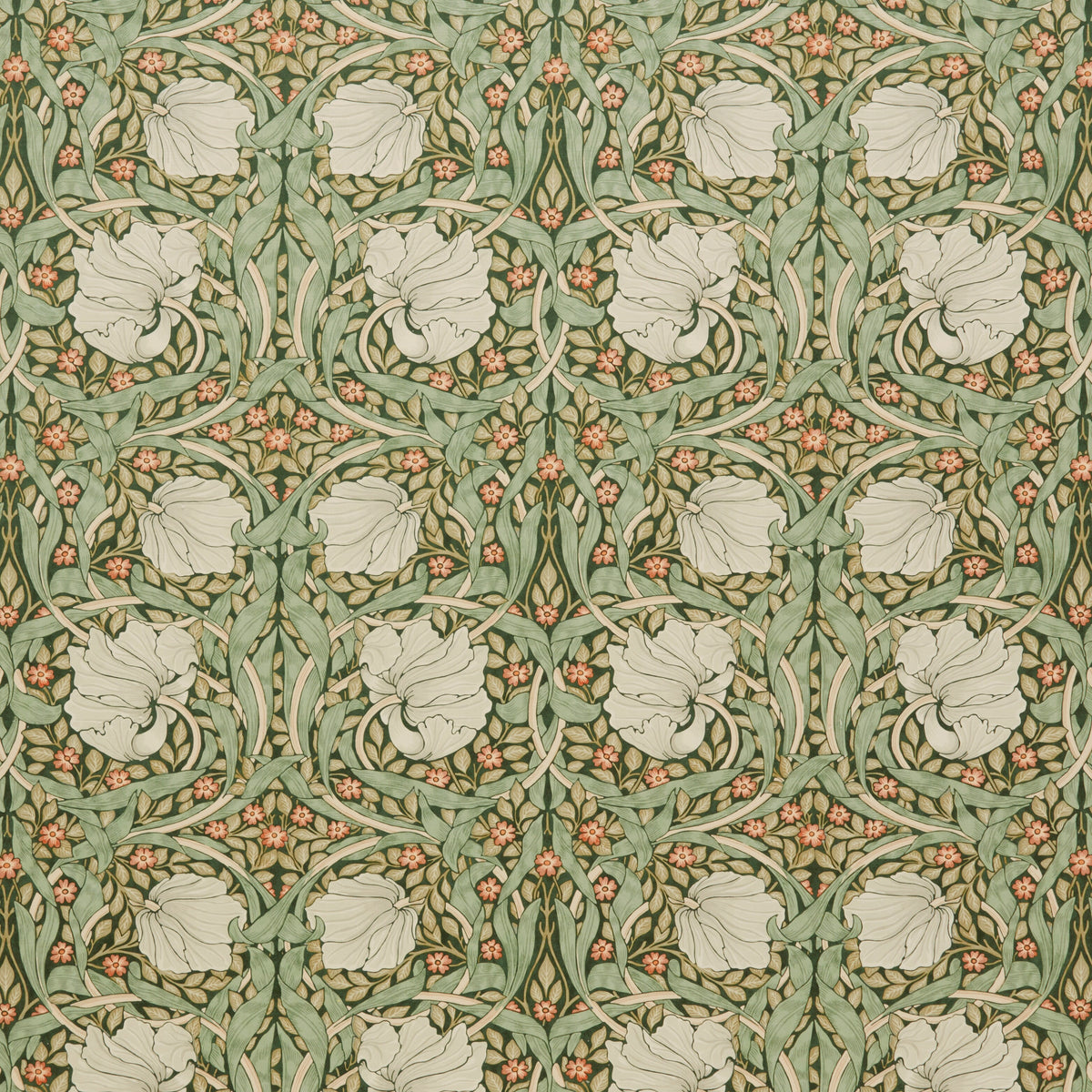 7871 PIMPERNEL VELVET 4 HUNTER