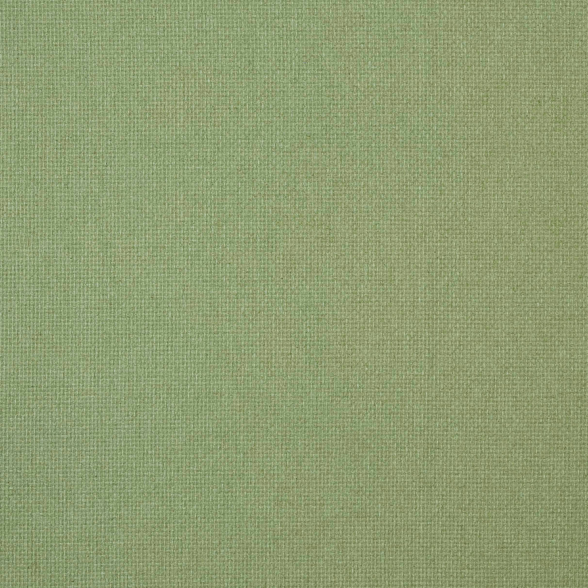 7880 REED 8 GRASS
