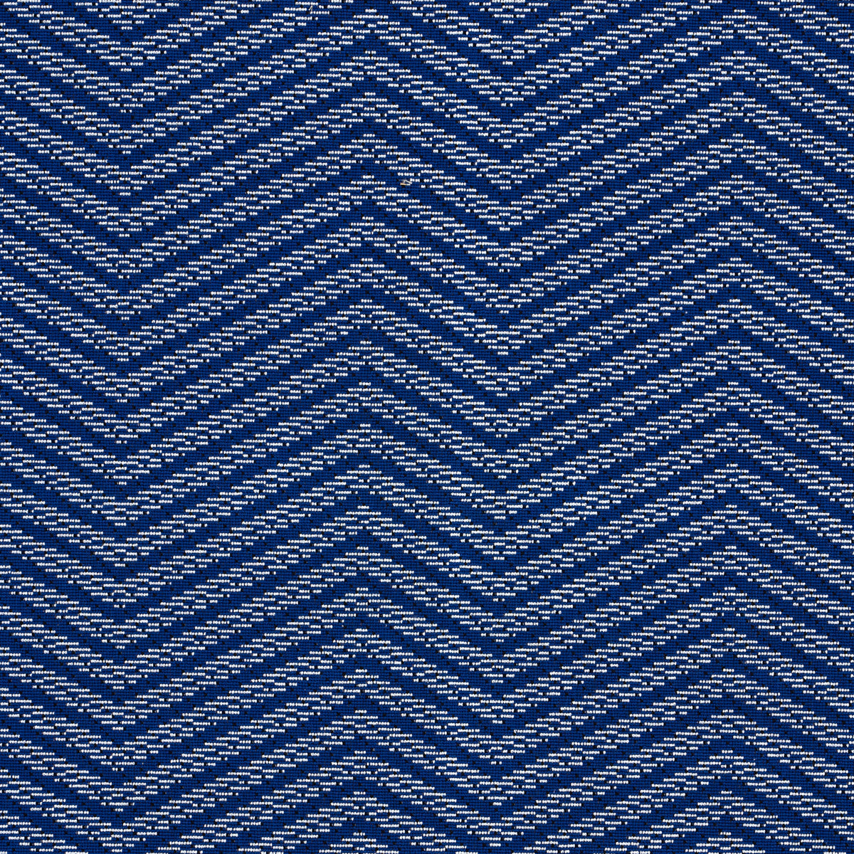 SPARRE ÉPINGLÉ COBALT