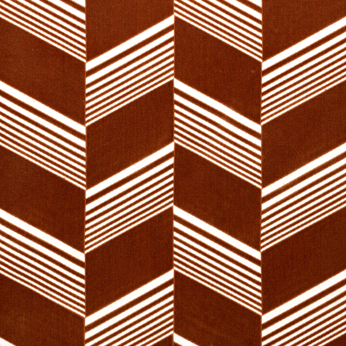 JESSIE CUT VELVET CAMEL