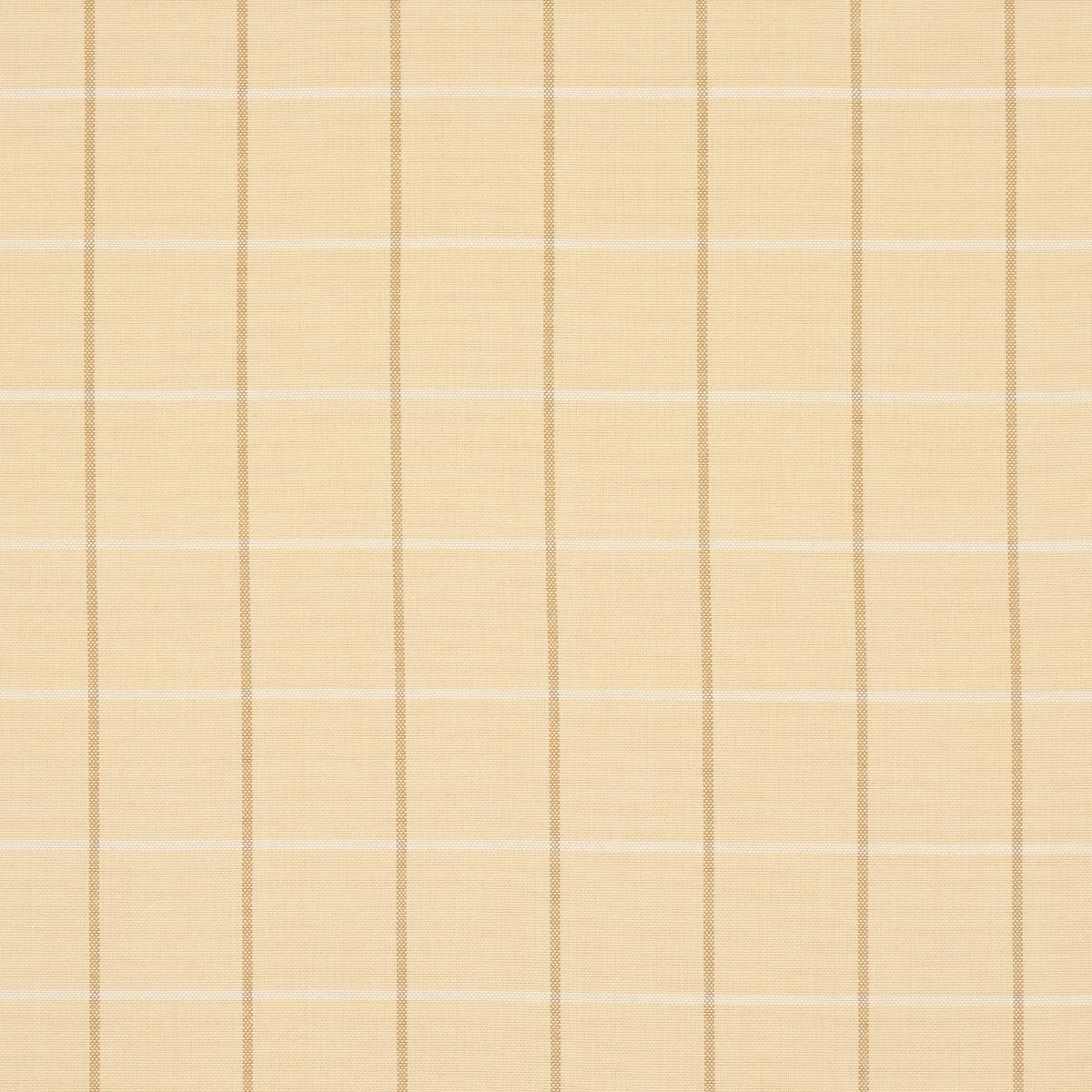 FRANNIE WINDOWPANE CAMEL