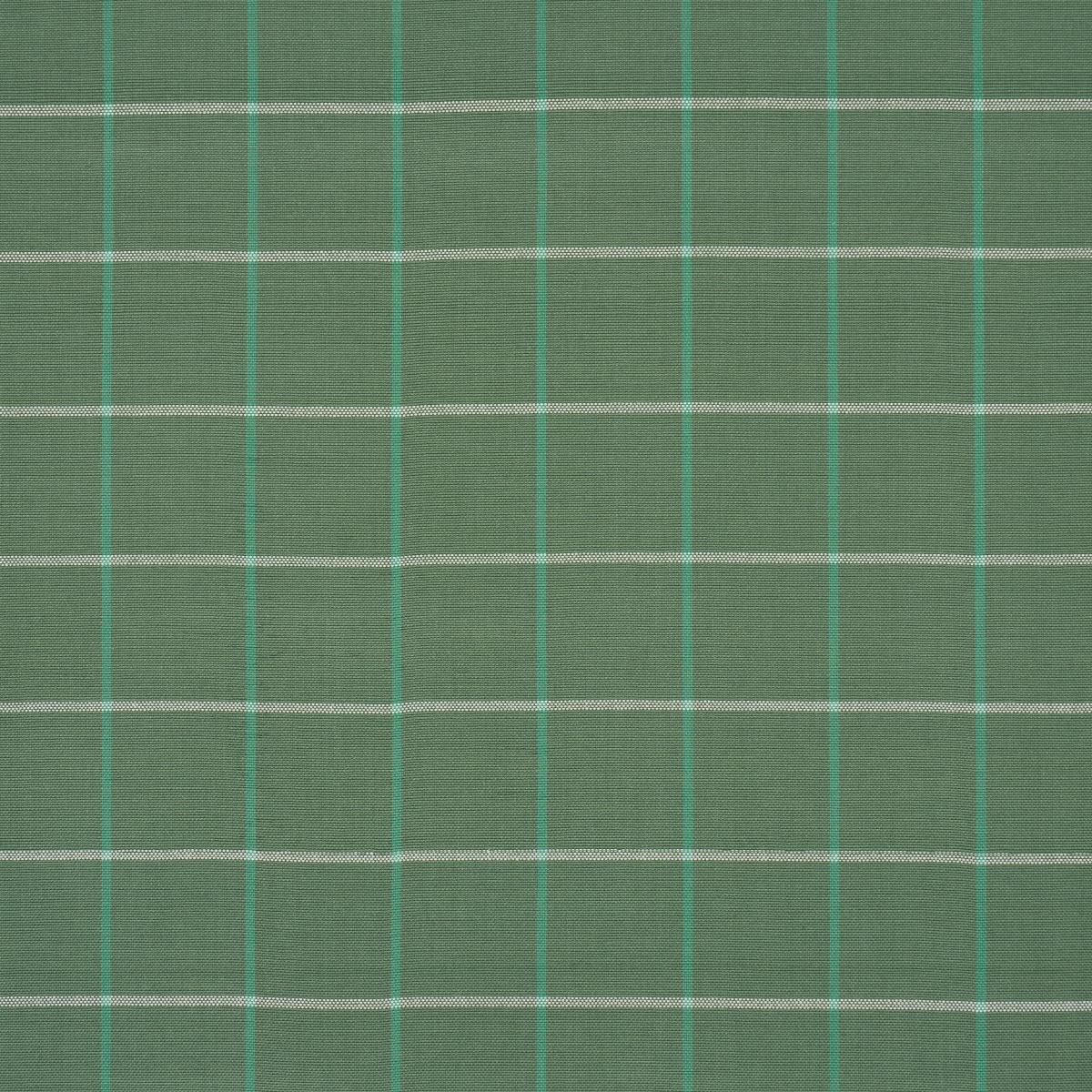 FRANNIE WINDOWPANE GREEN