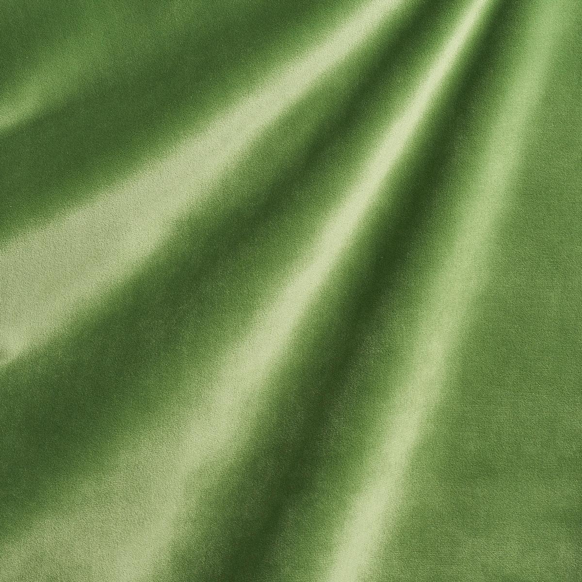 ALISTAIR INDOOR/OUTDOOR VELVET GRASS