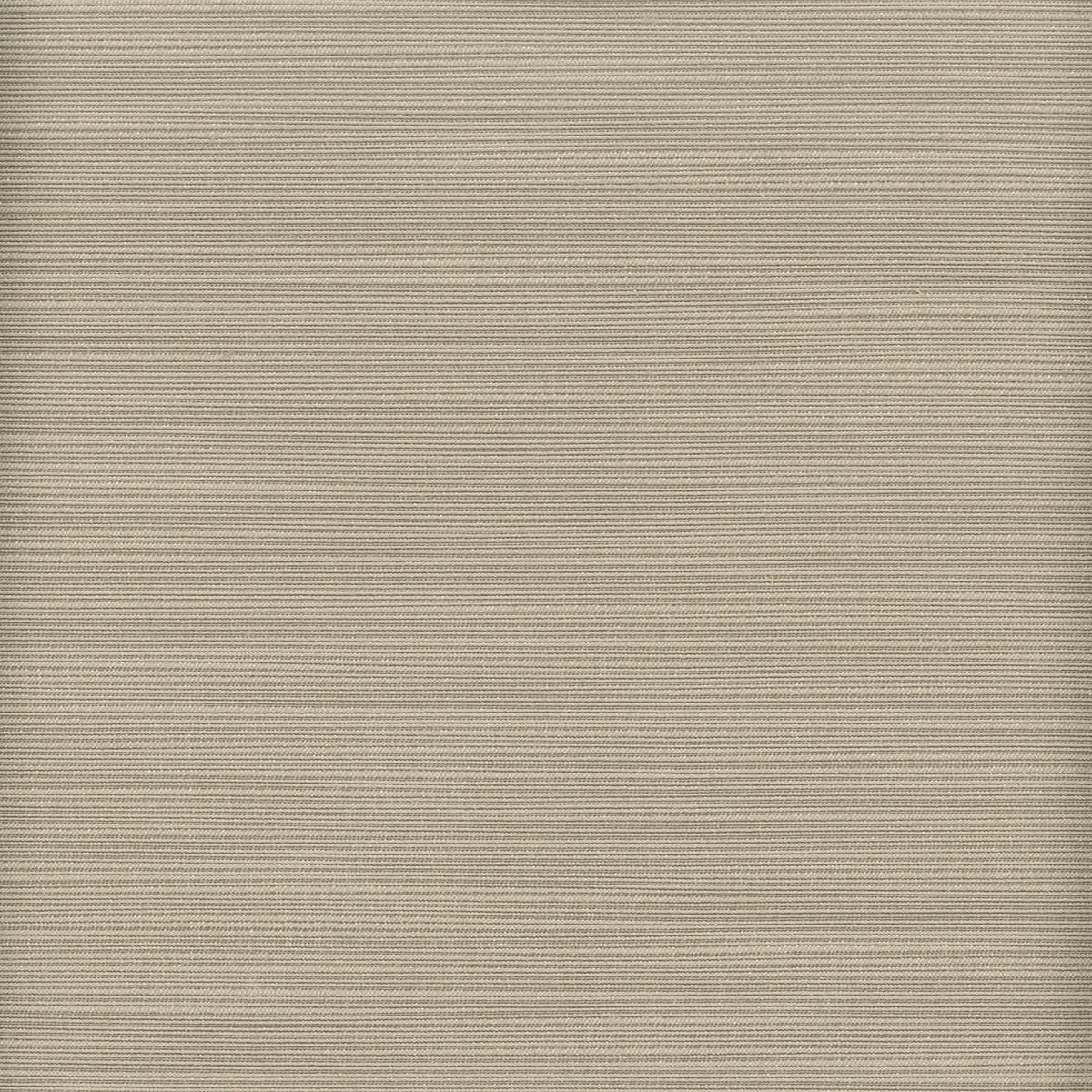 ADMIRE 11 NICKEL