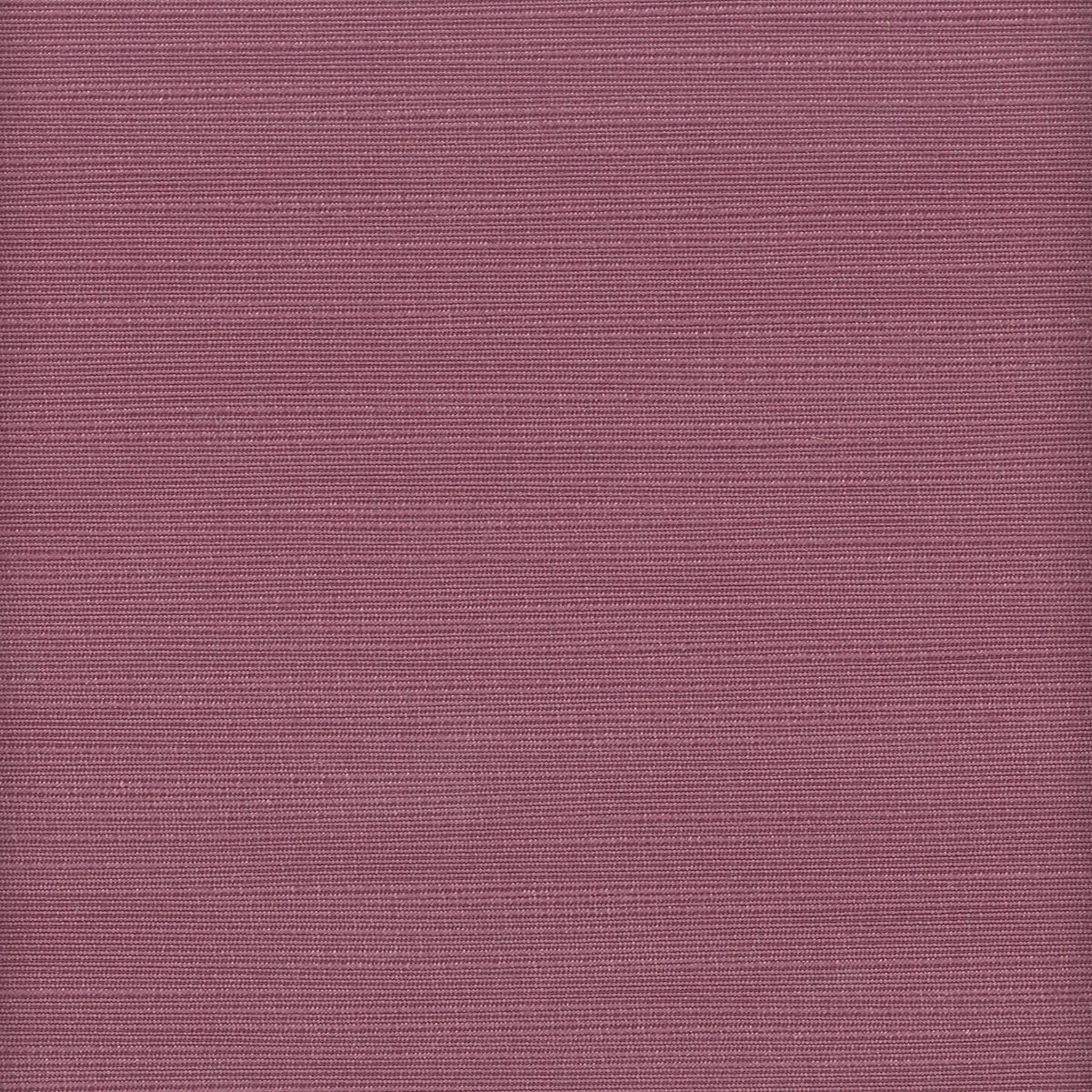 ADMIRE 19 PURPLE