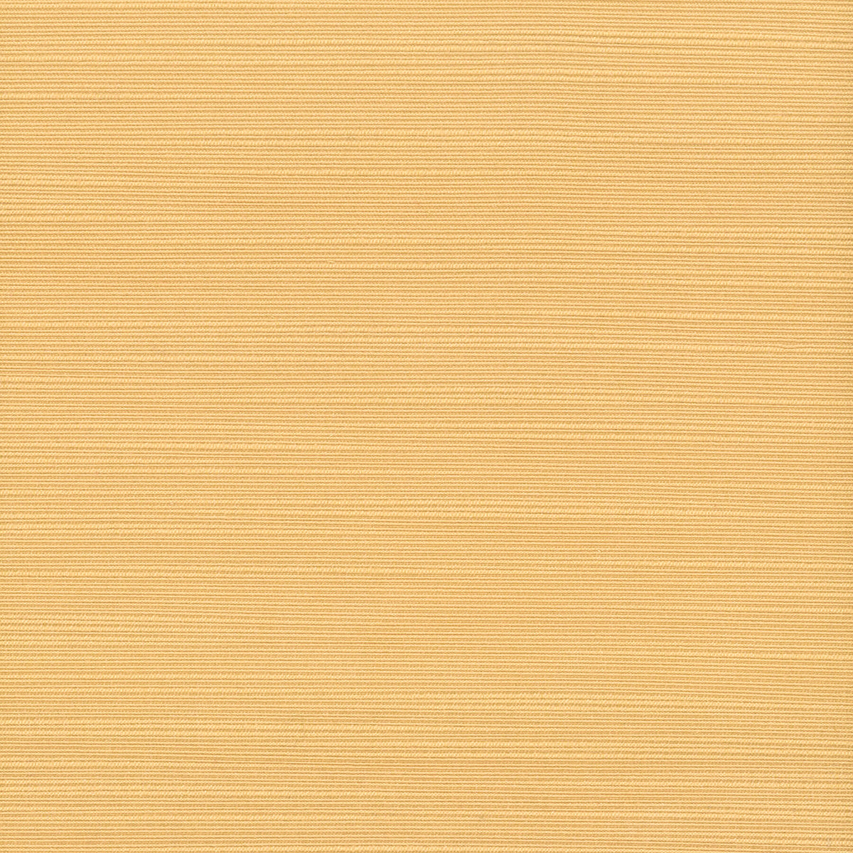ADMIRE 44 BUTTERSCOTCH
