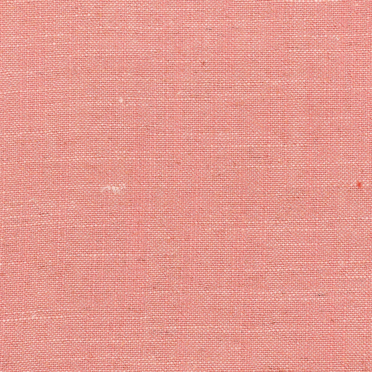 AINSWORTH 21 FLAMINGO