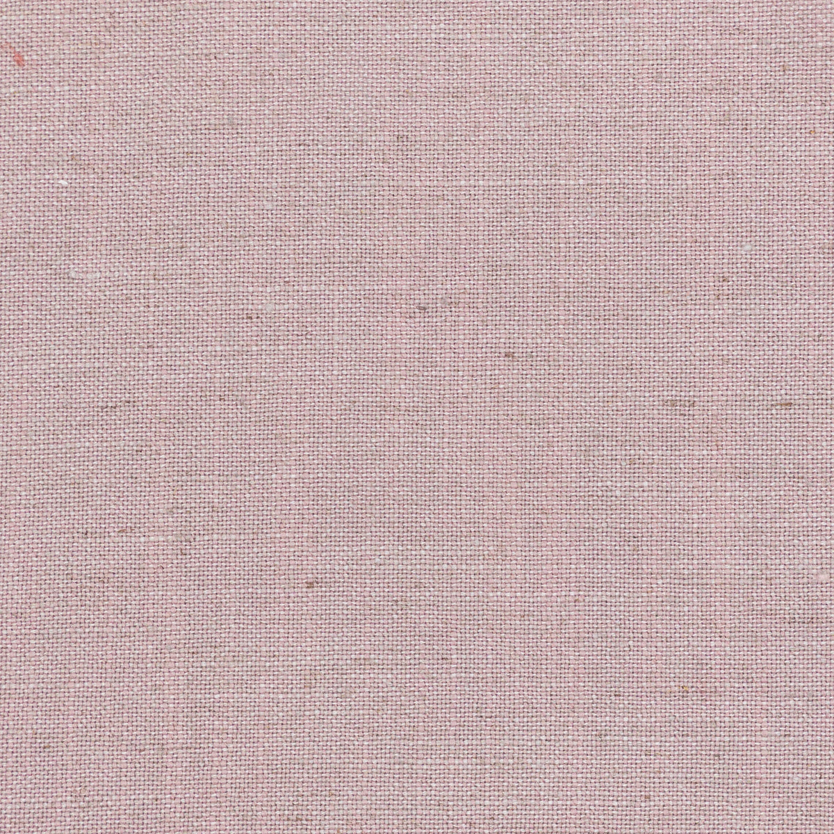 AINSWORTH 6 LAVENDER