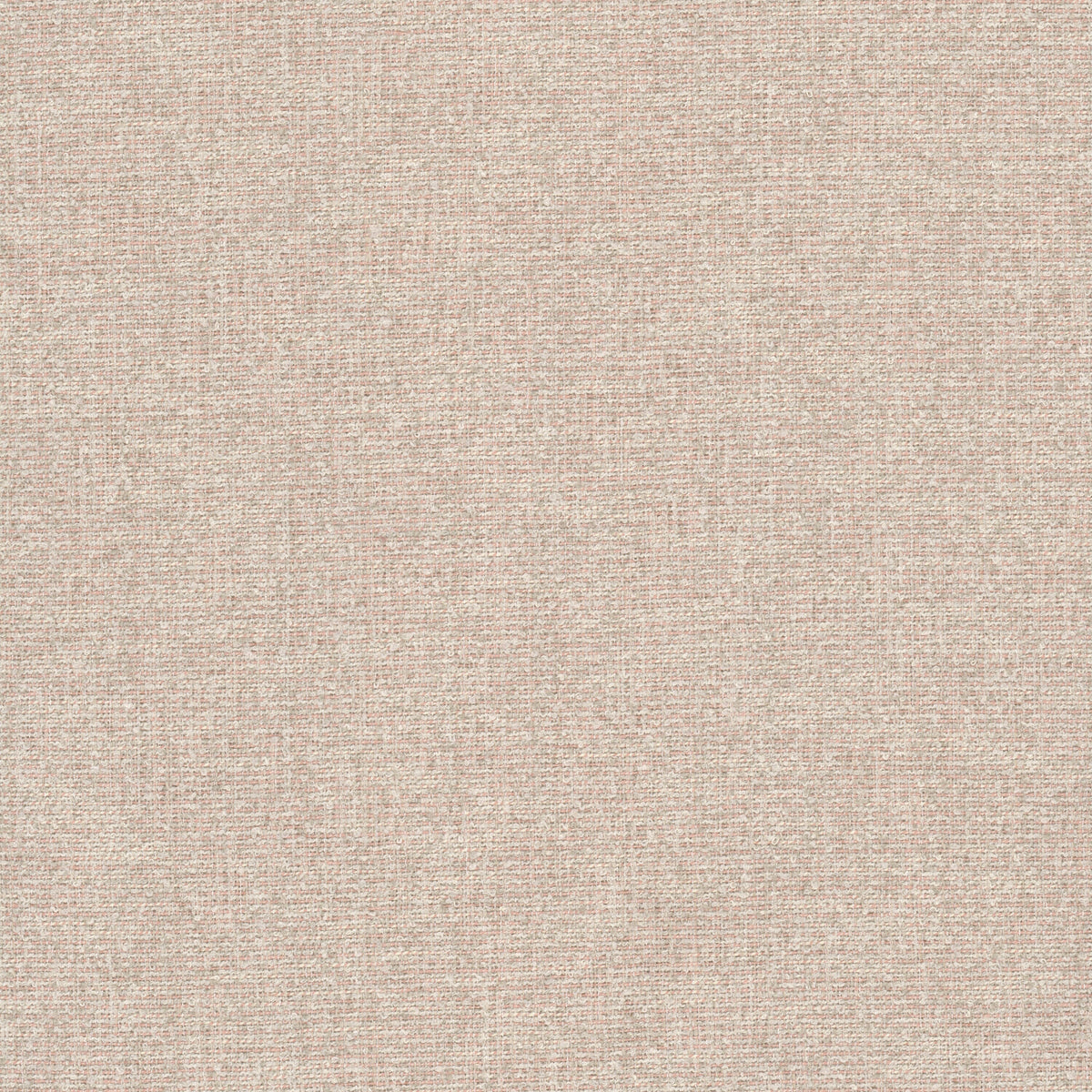 ALOUD 1 BLUSH