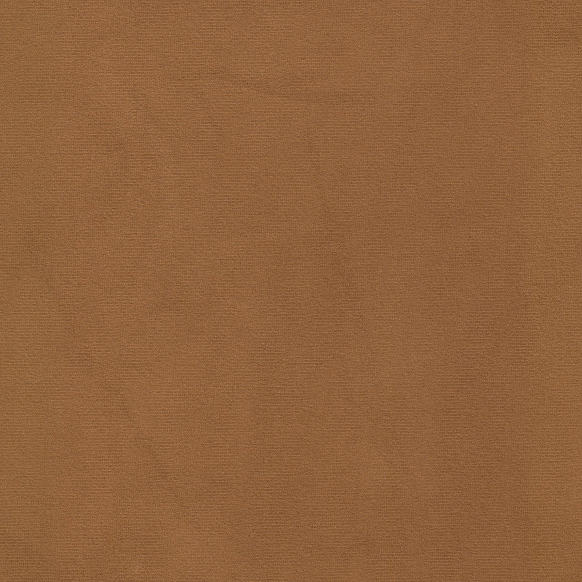 BABE 1 COPPER