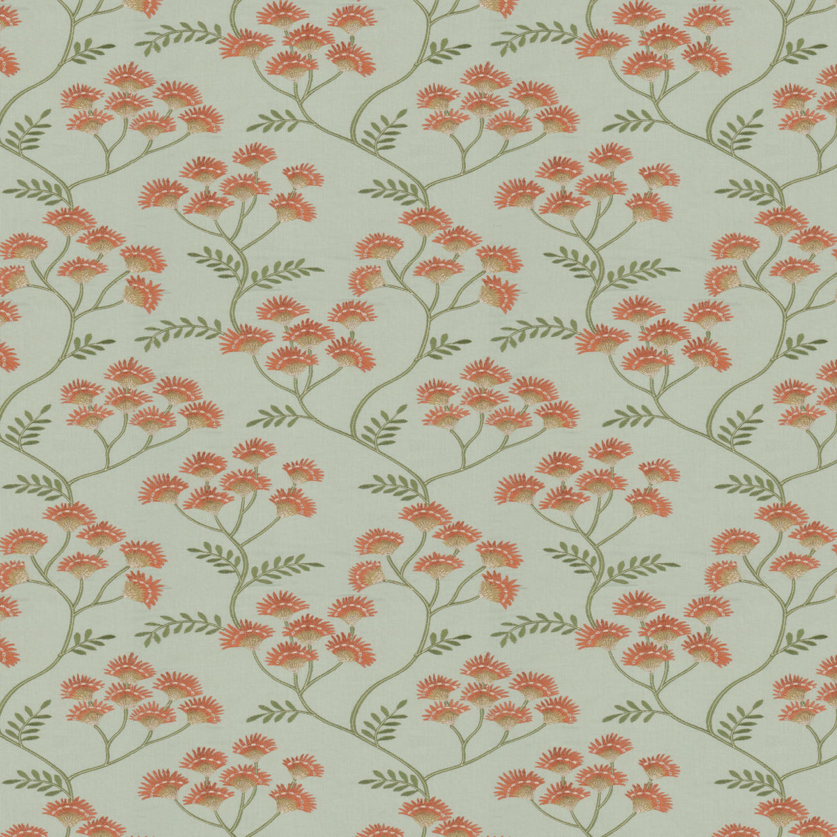 BEAUFORT 5 APRICOT