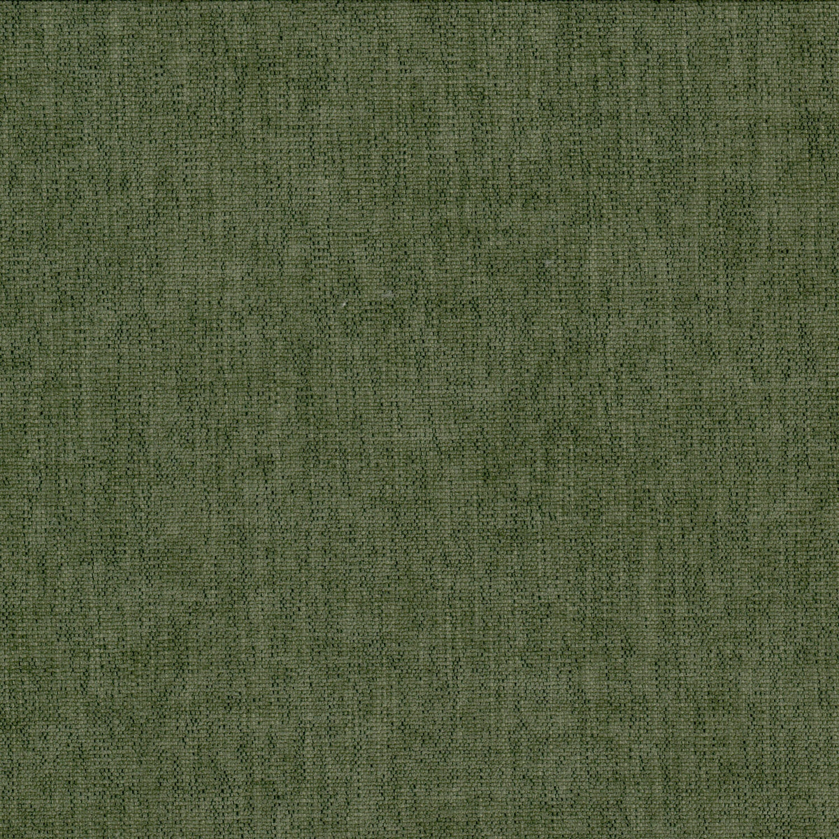BETA 2 MOSS