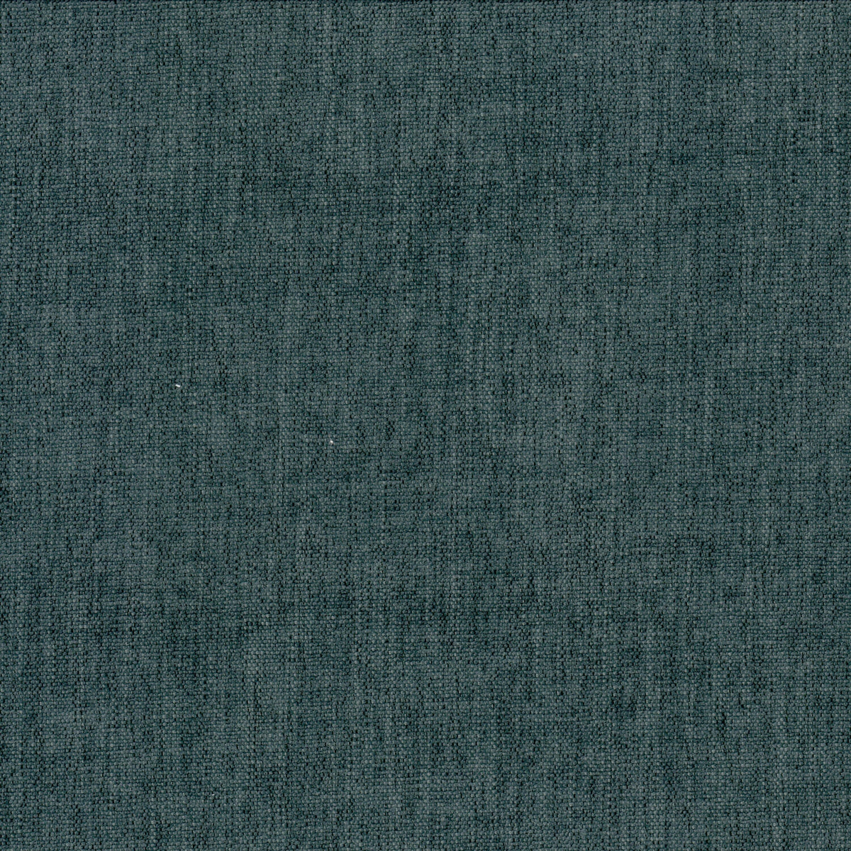 BETA 5 PEACOCK