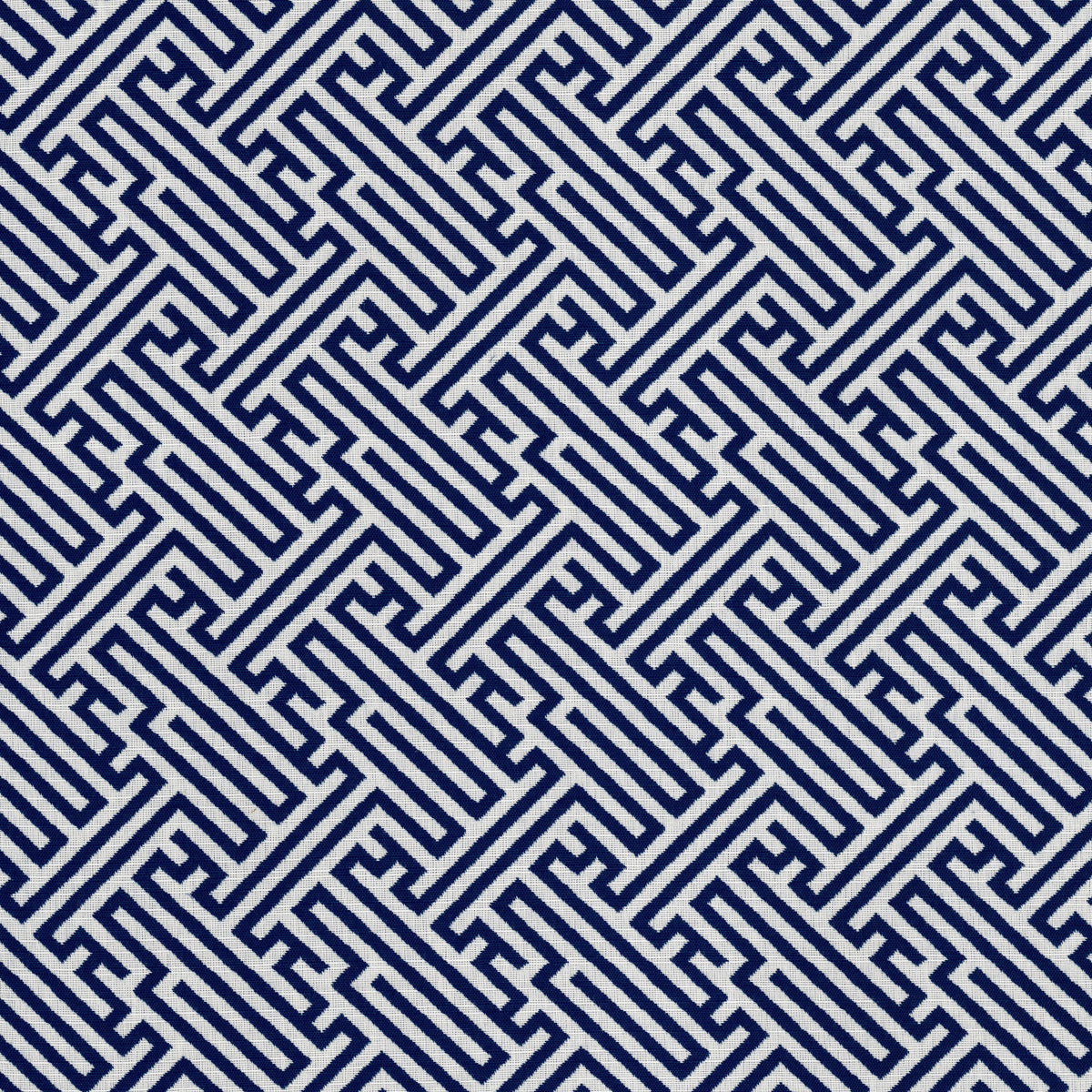 BITTEROOT 1 INDIGO