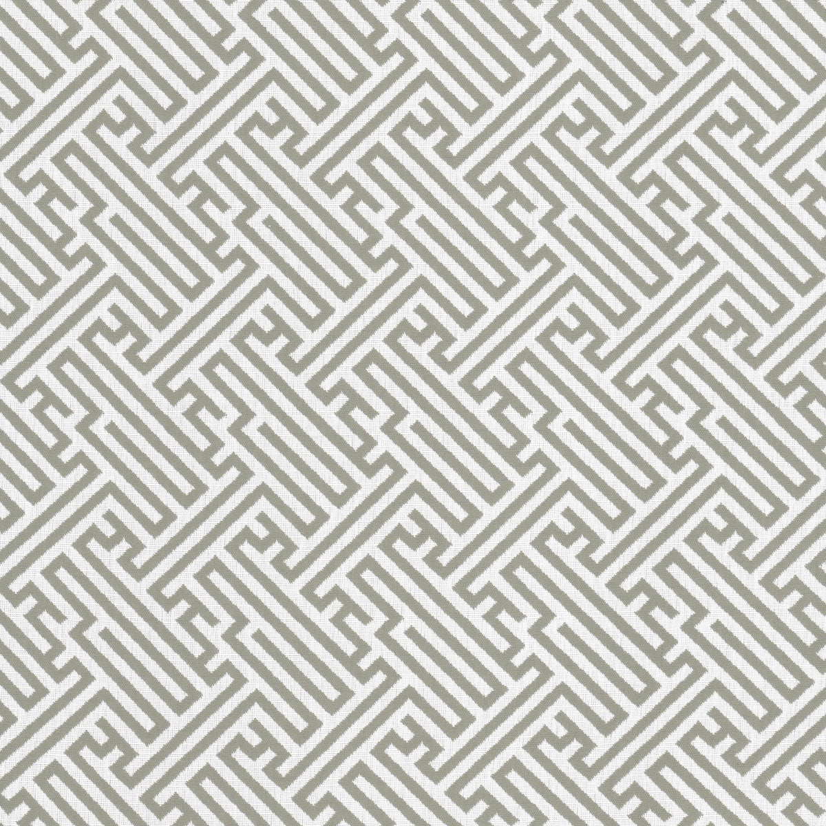 BITTEROOT 2 GREY