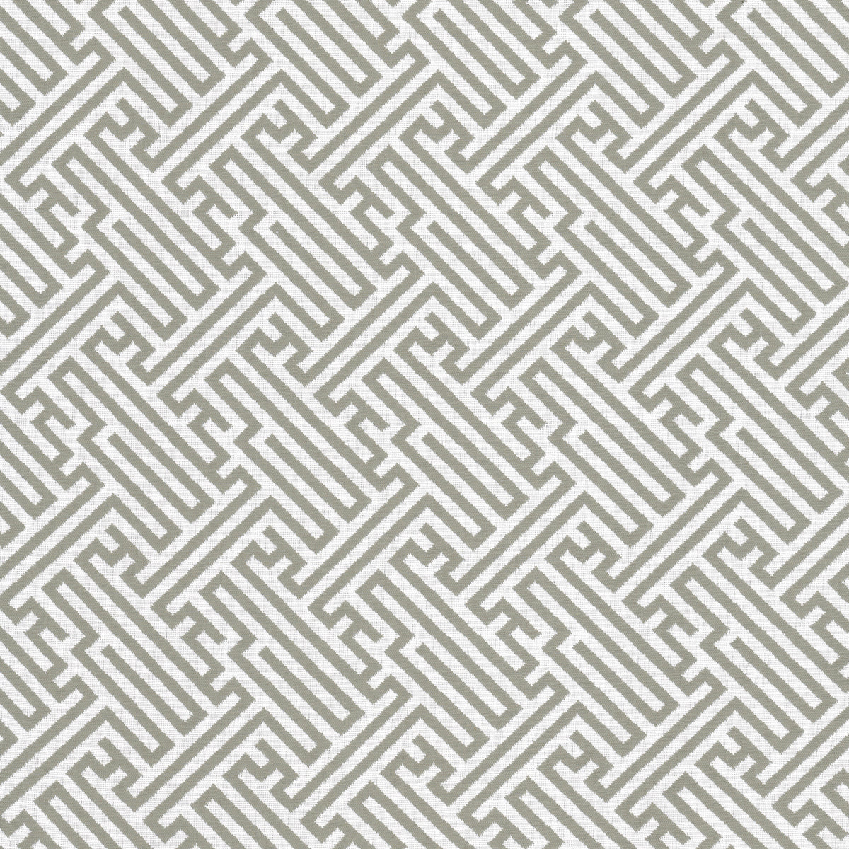 BITTEROOT 2 GREY
