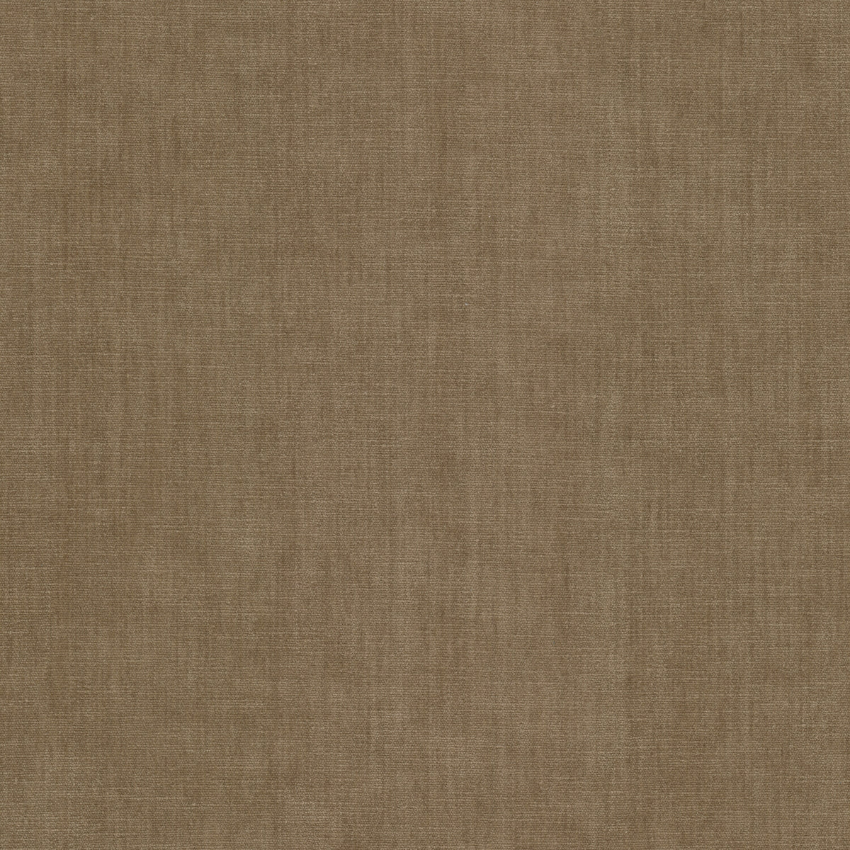 BOUNTIFUL 33 RAFFIA