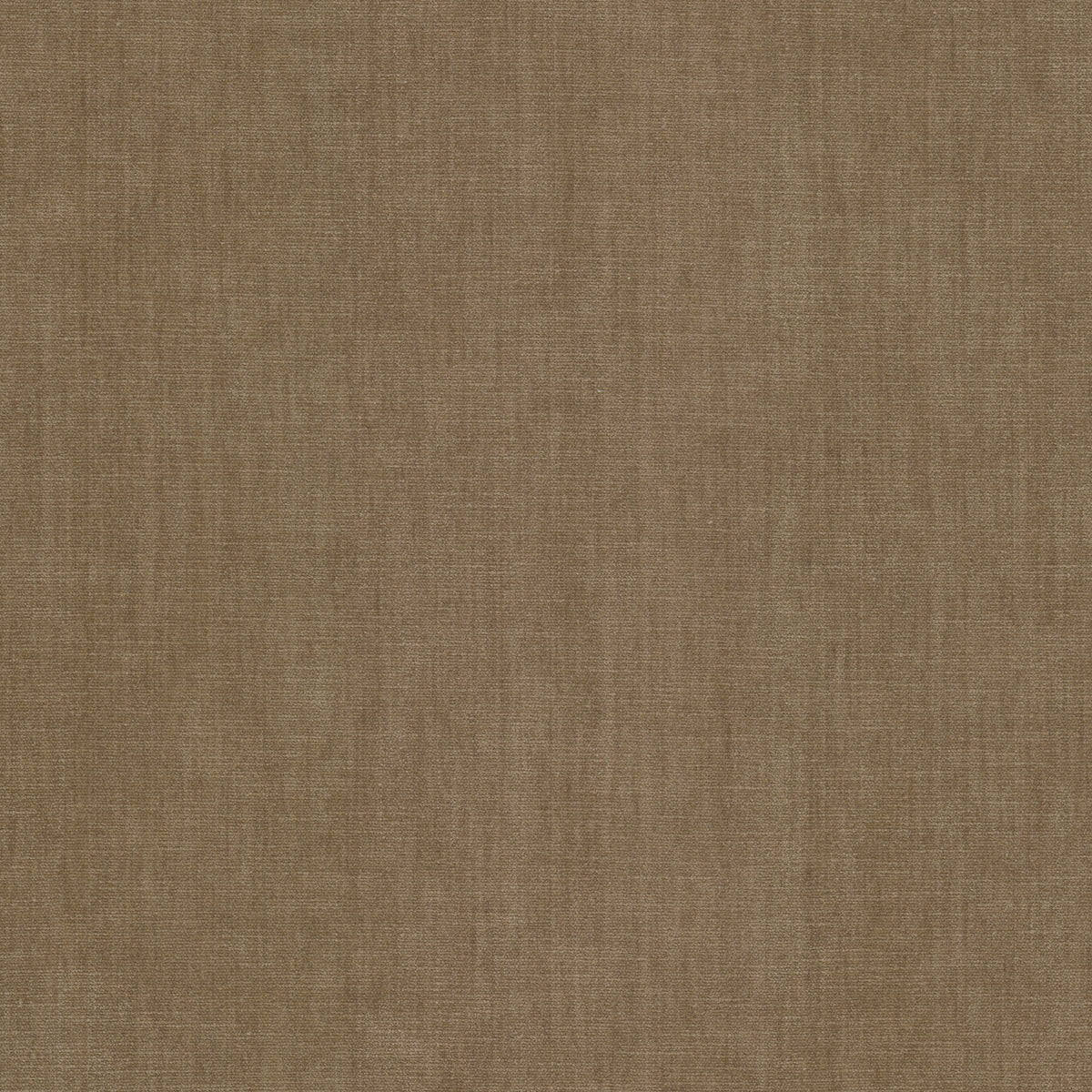 BOUNTIFUL 33 RAFFIA