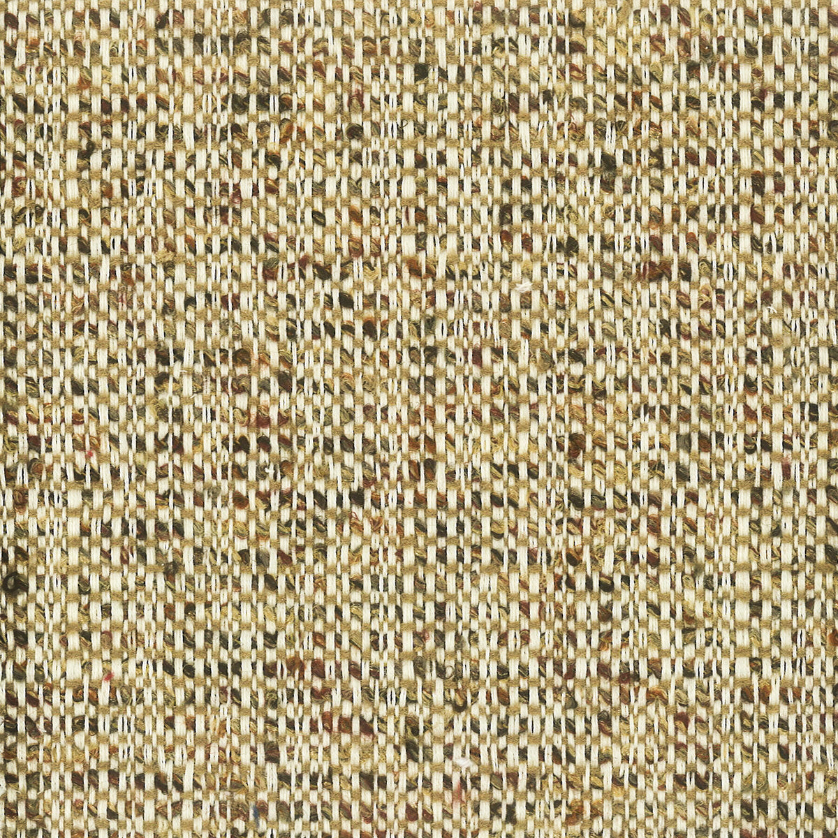 BRIDLE 2 ACORN