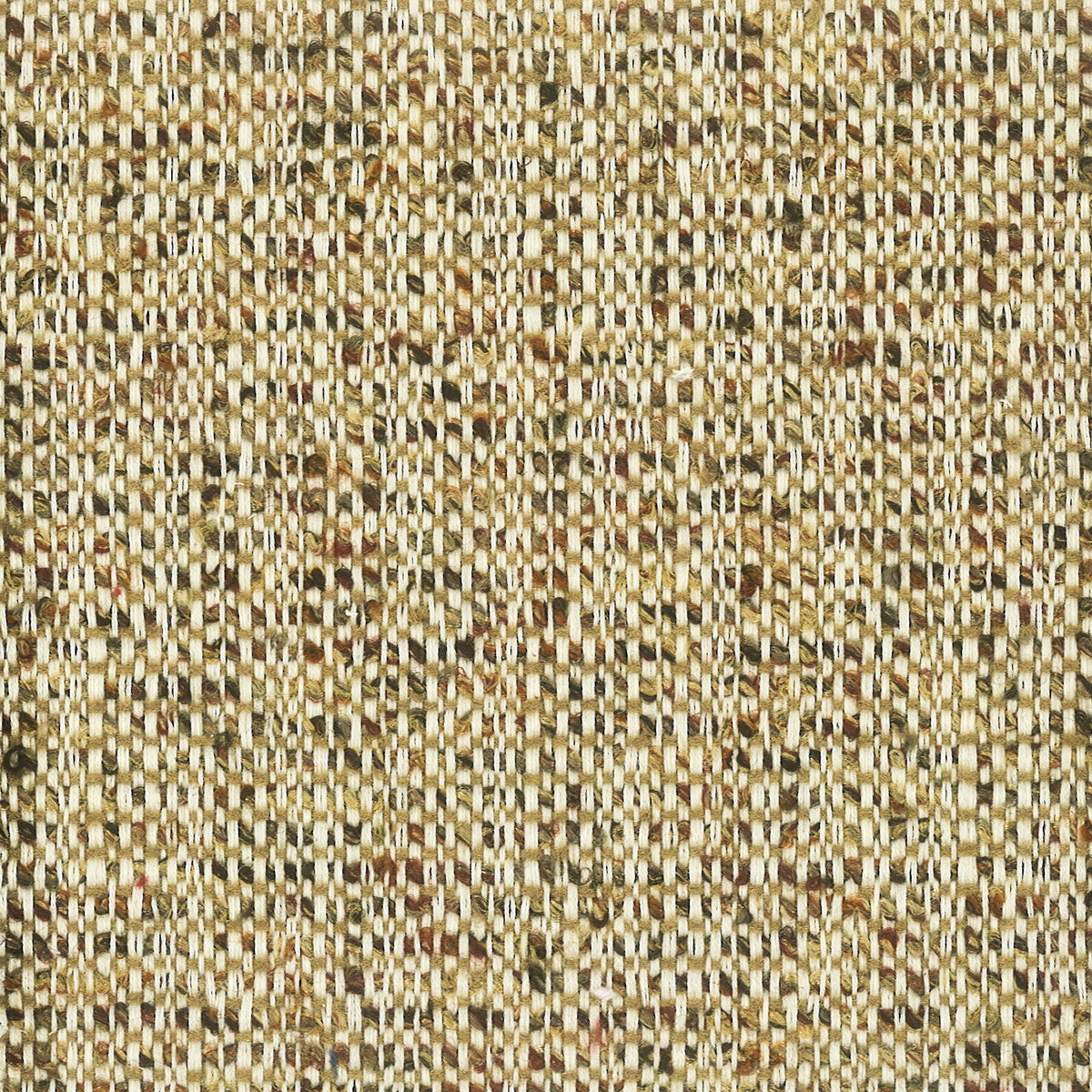 BRIDLE 2 ACORN