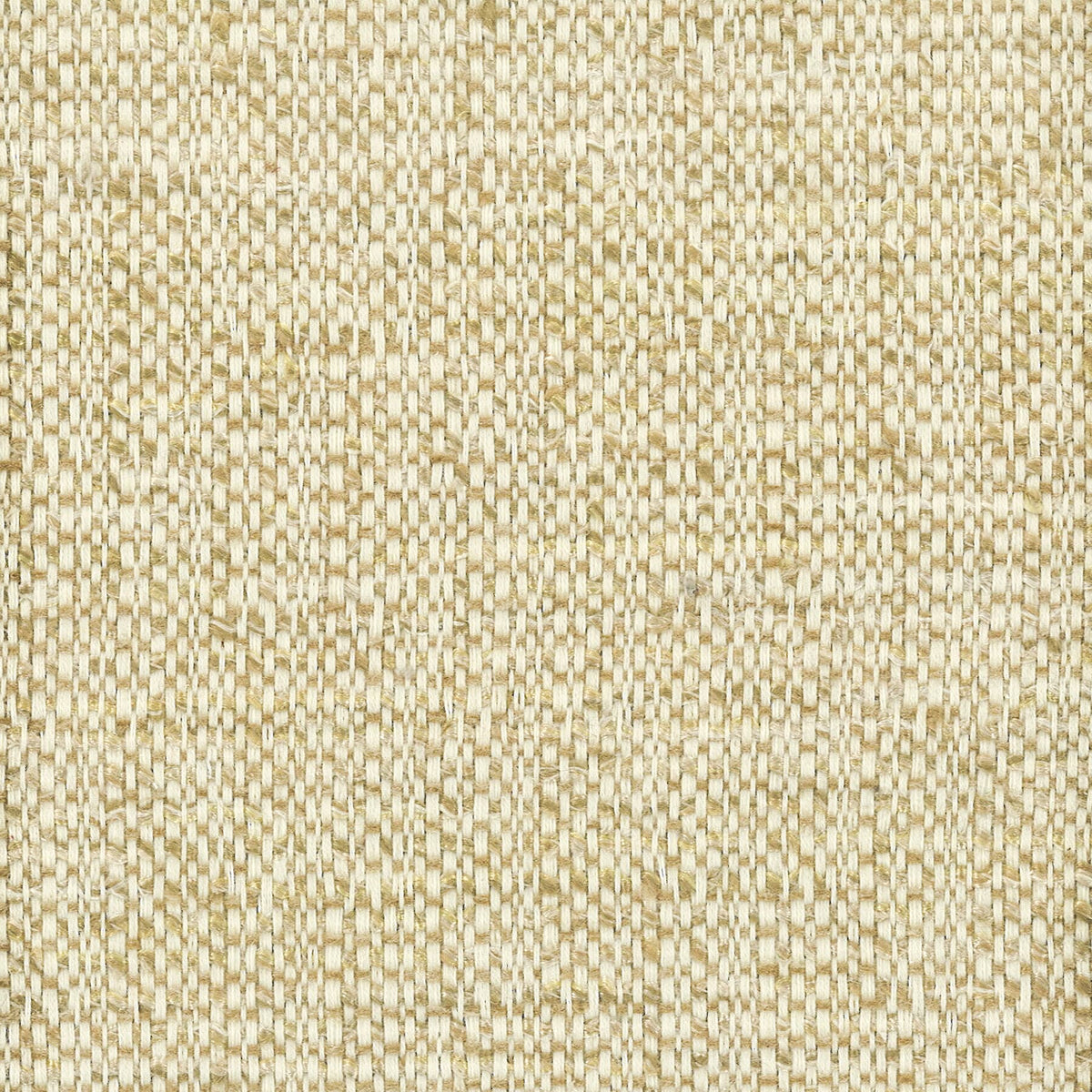 BRIDLE 3 HONEY