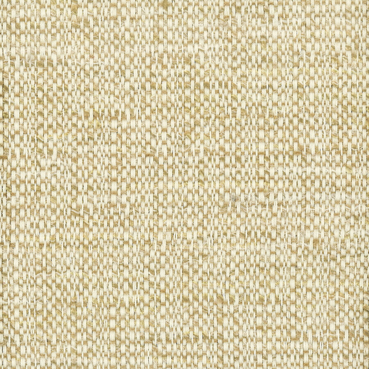 BRIDLE 3 HONEY