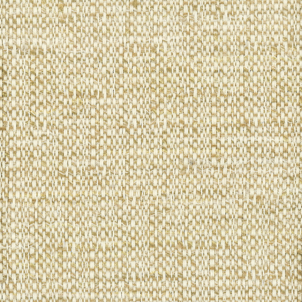 BRIDLE 3 HONEY