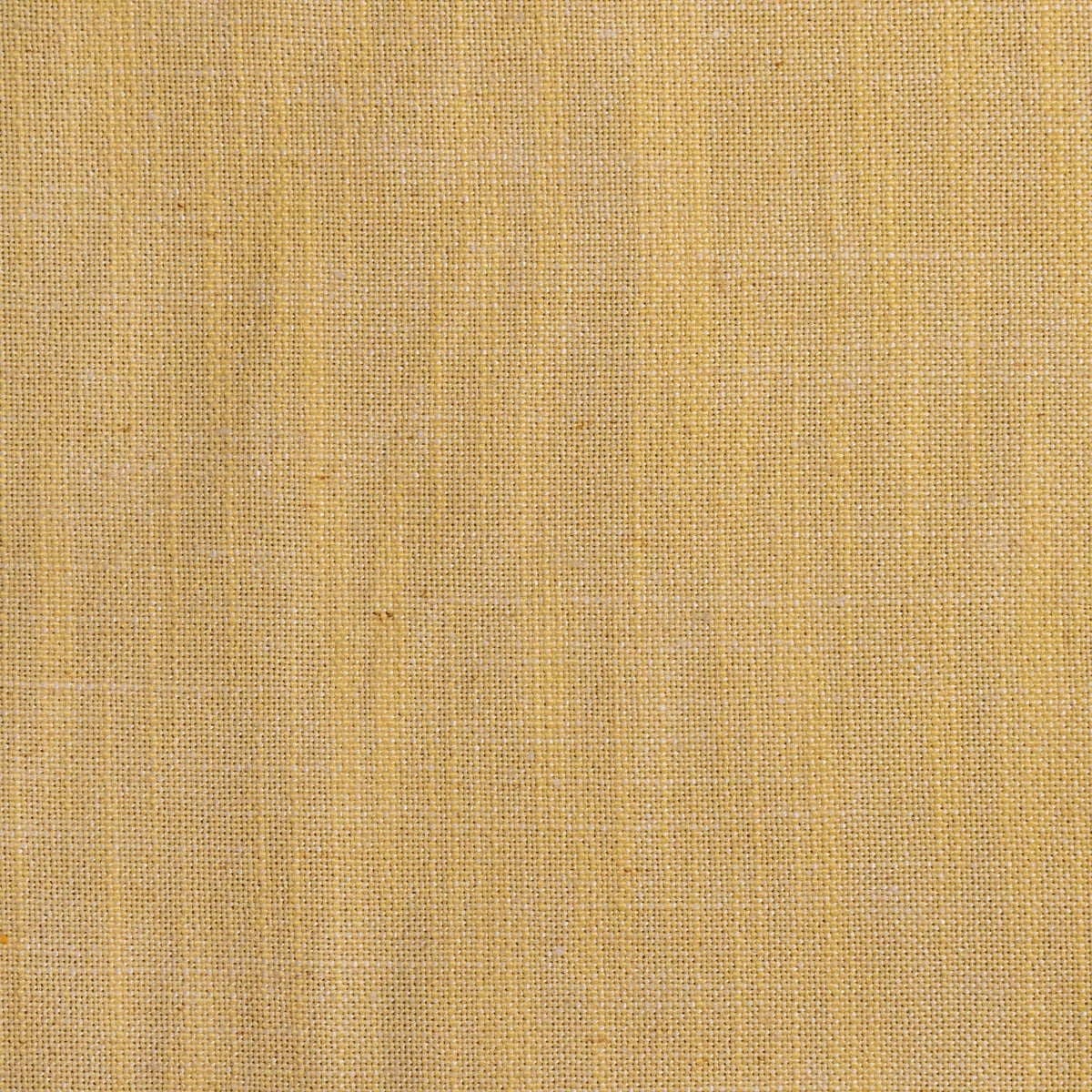 RM Coco Brigadoon / Daffodil Fabric | Atlanta Fabrics
