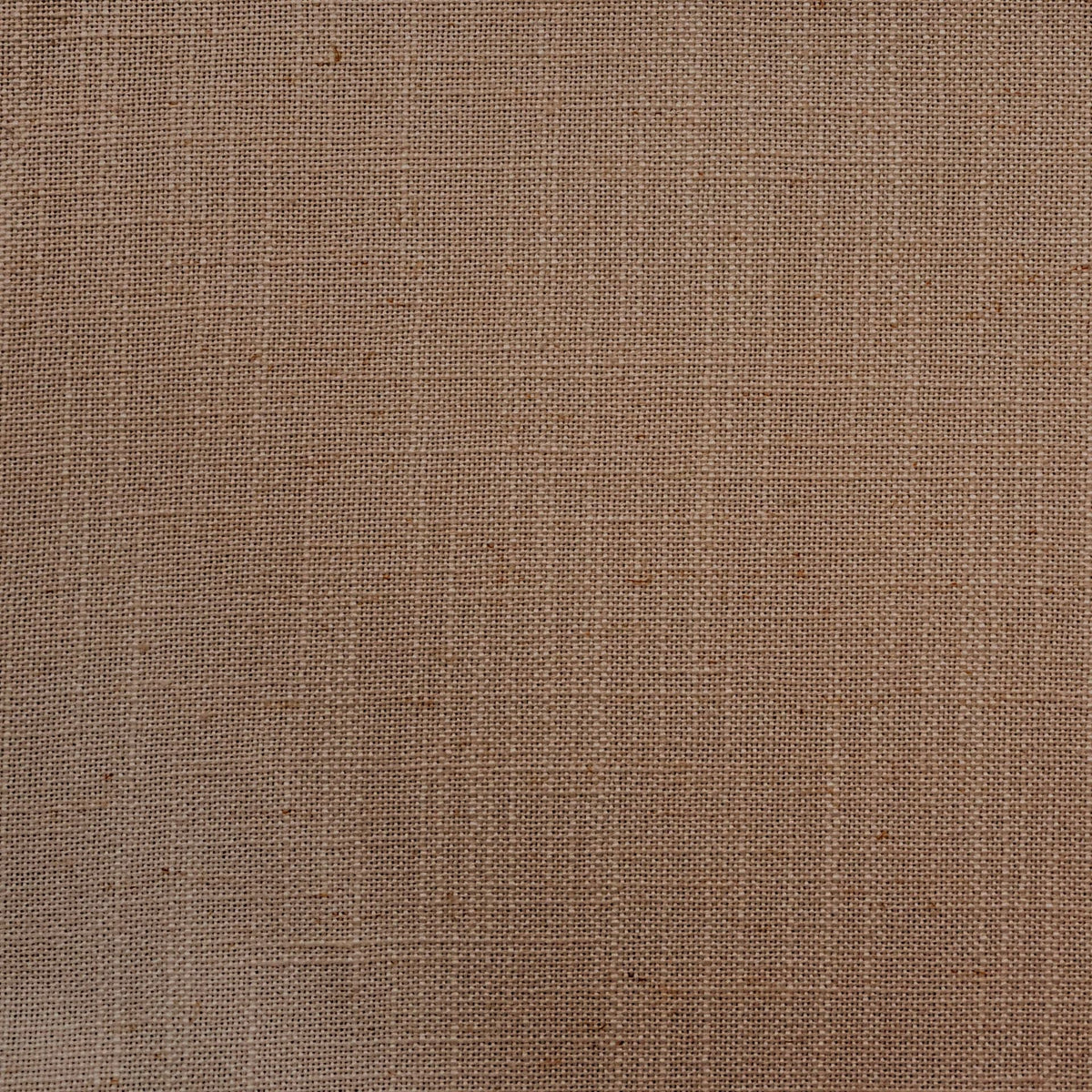 Brigadoon / Hazelnut